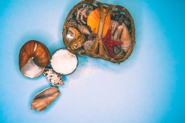 Kabukları ve deniz tuzu arka plan