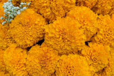 Muhteşem sahil resort manzaralar