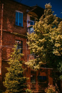 güzel şehir yeşil balkon