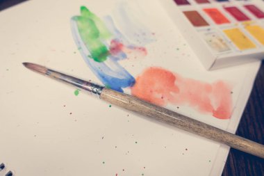 Araçlar Illustrator. Boyalar ve albüm