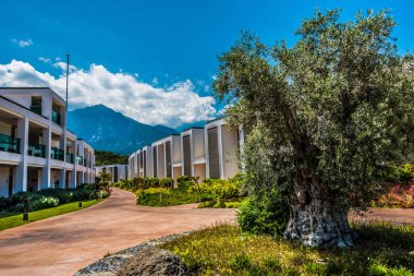 Güzel tatil beldesi. Yeşil ve çiçekler