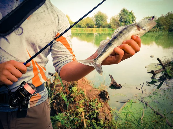 Pescatore Catturato Pesce Che Tiene Mano — Foto Stock