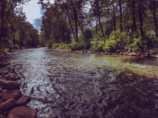Ormanda Güzel Hızlı Nehir — Stok fotoğraf