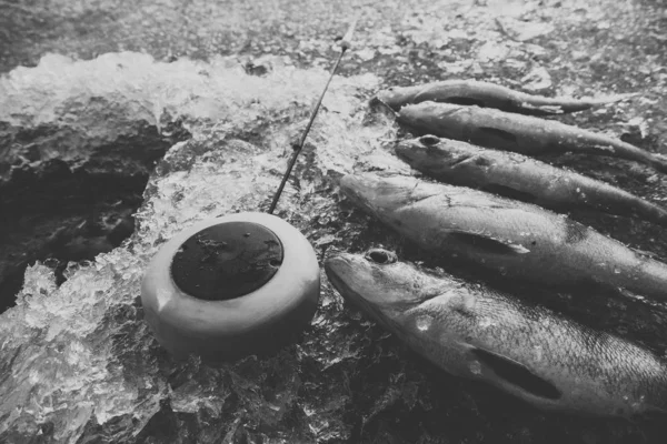 Hielo Invierno Pasatiempo Pesca — Foto de Stock