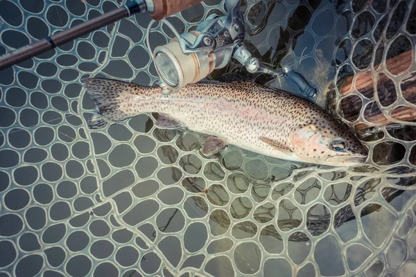 Trout fishing on the lake — Stock Photo, Image