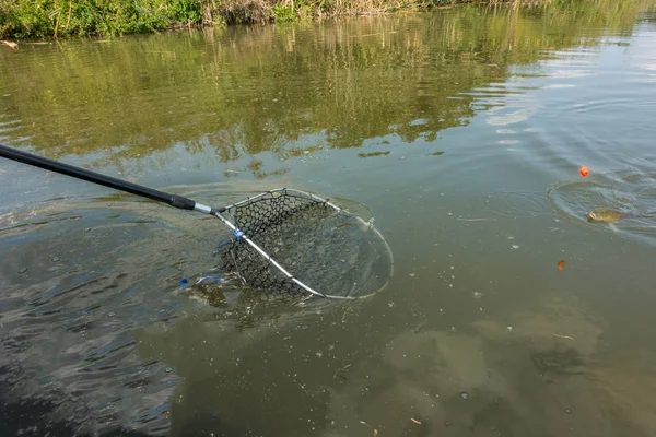 Buona Pesca Hobby Cattura — Foto Stock