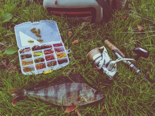 Concetto di pesca: pesce, canna da pesca, esca — Foto Stock