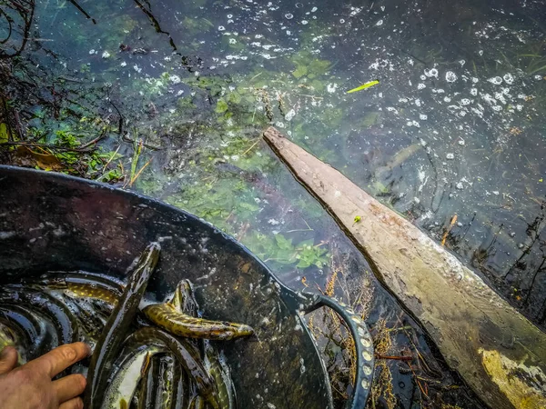 Bakgrunden på en fiske-tema — Stockfoto