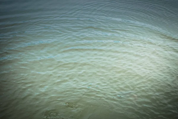 Pêche à la truite sur le lac — Photo