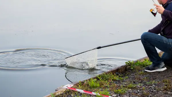 Forellenfischen Auf Dem Fluss — Stockfoto