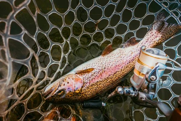 Pêche à la truite sur le lac — Photo