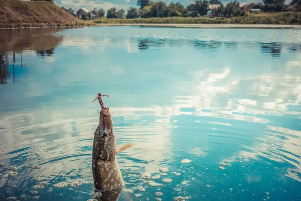 Pesca del luccio sul lago — Foto Stock