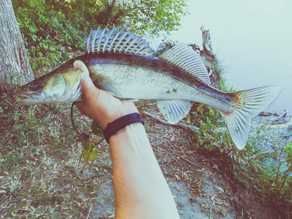 O pescador tem um peixe — Fotografia de Stock