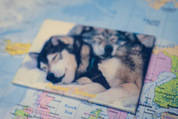 Finland map background with dog on photo