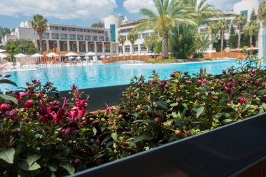 Güzel tatil beldesi. Yeşil ve çiçekler