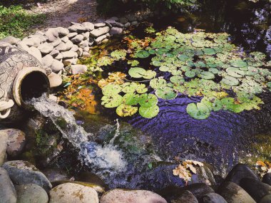 eski bir vazodan şelale