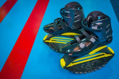 kangoo botları yakından atlar