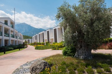 Güzel tatil beldesi. Yeşil ve çiçekler