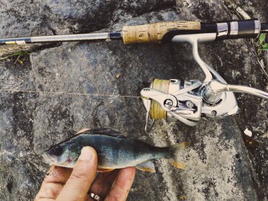 balıkçı yem için küçük bir balık yakaladı