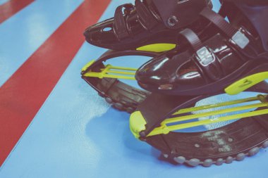 kangoo botları yakından atlar