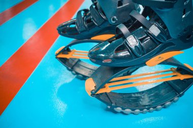 kangoo botları yakından atlar