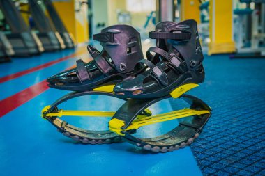 kangoo botları yakından atlar