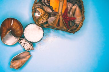 Kabukları ve deniz tuzu arka plan