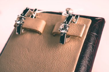 Taşlar Gümüş Küpe