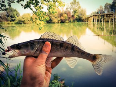 bir elinde bir göl kenarında balık yakaladı