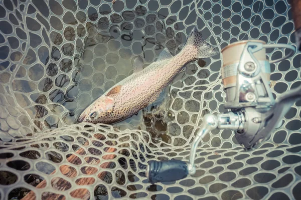 Pesca da truta no lago — Fotografia de Stock