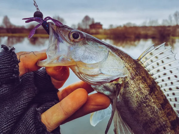 Background on a fishing theme — Stock Photo, Image