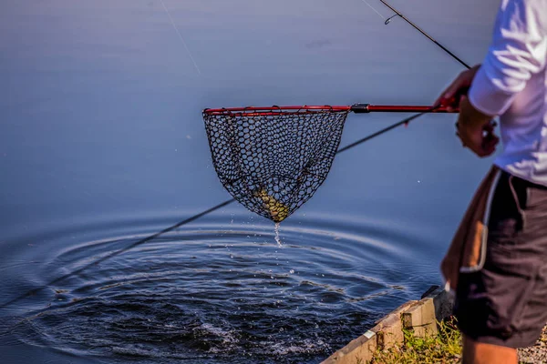 Pesca Truta Rio — Fotografia de Stock