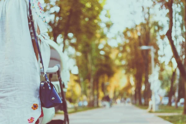 Madre con un cochecito en un paseo — Foto de Stock