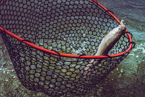 Рыбалка форели на озере — стоковое фото