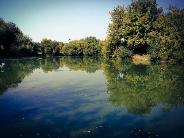 Güzel yaz göl ve yeşil ağaçlar — Stok fotoğraf