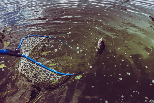 Gölde alabalık avı — Stok fotoğraf