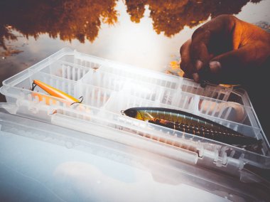 bir kutuiçinde balık için yem