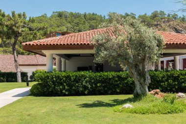 Güzel deniz resort. Yaz tatili