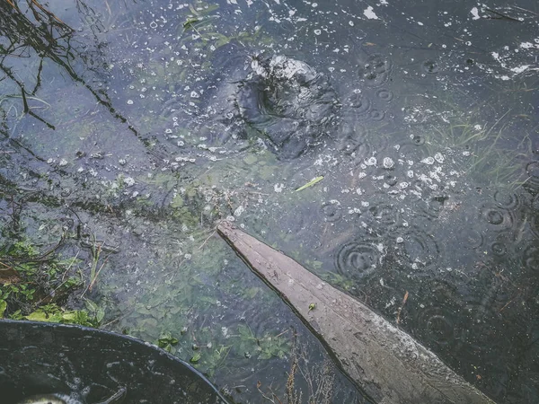 Contesto su un tema di pesca — Foto Stock