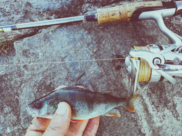 Der Fischer fing einen kleinen Fisch als Köder — Stockfoto