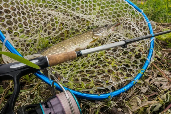 Pike fishing on the lake — Stock Photo, Image