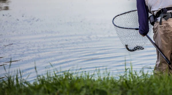 Forellenfischen Auf Dem Fluss — Stockfoto