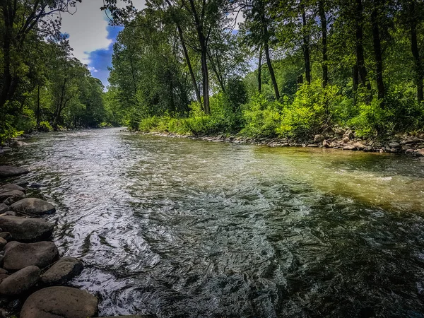 Hermoso Río Rápido Bosque — Foto de Stock