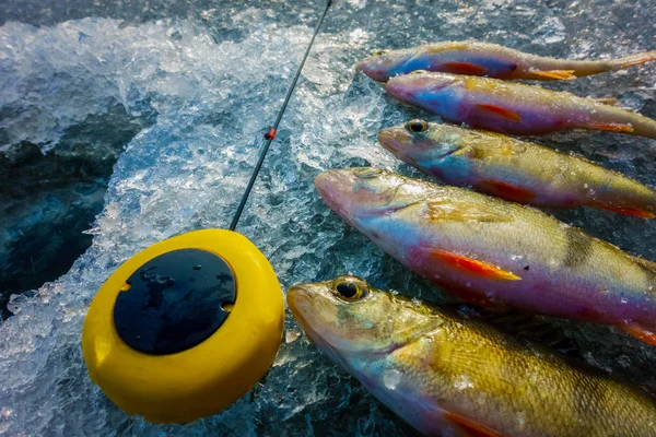 Pesca Sul Ghiaccio Invernale Hobby — Foto Stock
