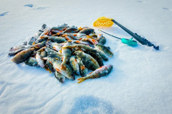 Winterfischen Aus Eis — Stockfoto