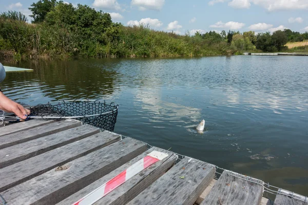 Pesca en el fondo del lago —  Fotos de Stock