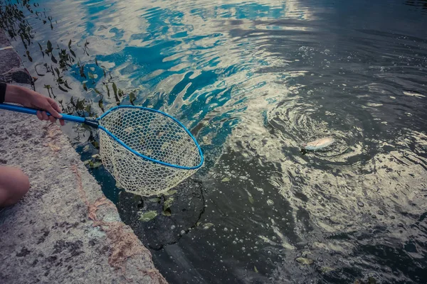 Öring fiske på sjön — Stockfoto