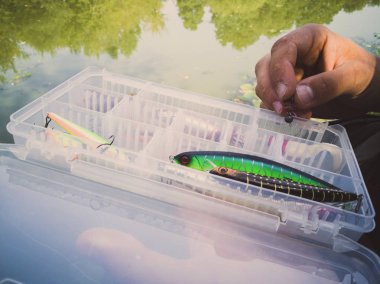 bir kutuiçinde balık için yem