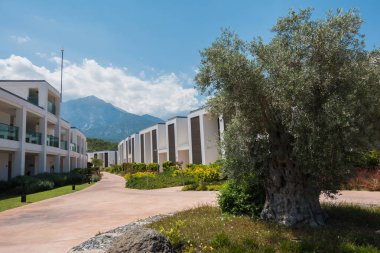 Güzel tatil beldesi. Yeşil ve çiçekler