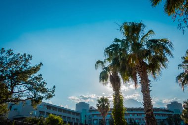 Deniz kenarındaki güzel resort peyzaj